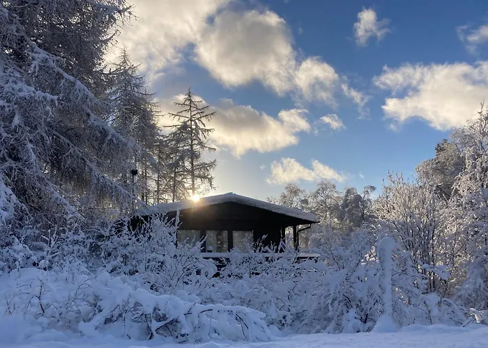 Woodland Retreats